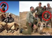 شکارچیان خارجی برای زدن قوچ اوریال به ایران آمدند!