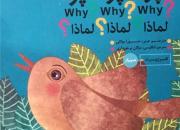 کتاب «چرا؟ چرا؟ چرا؟» به زبان‌های عربی و انگلیسی در میان زائران اربعین حسینی(ع) توزیع می‌شود