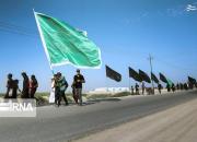 عکس/ پیاده روی اربعین در مسیرهای جنوبی عراق