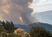 افزایش قربانیان آتش‌سوزی‌های الجزایر به ۶۵ نفر +عکس و فیلم