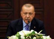 اردوغان: شما که عامل کشتار ۵۰ میلیون نفرید ما را نصیحت نکنید