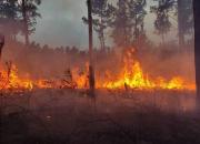 مهار آتش سوزی در جنگل ها گیلان