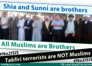 مجموعه پوستر/ وحدت جهان اسلام علیه تکفیری‌ها