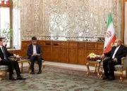 تاکید رئیس مجلس بر تعمیق همکاری های ایران و صربستان