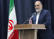 رونق سینمای محلی، گسترش سرمایه فرهنگی