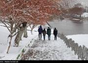 عکس/ بارش برف در ارومیه