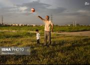 عکس/ زمینی که سبز می‌شود