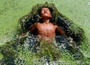 عکس/ شنا در استخر پوشیده از جلبک