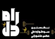 برپایی سوگواره ملی عکس عاشورایی در شیراز