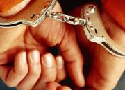 بازداشت خواهران دوقلو حین سرقت در تجریش