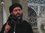 چه کسی محل اختفای ابوبکر بغدادی، سرکرده داعش را لو داد؟