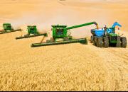  ۸ میلیون و ۸۰۰ هزار تن گندم از کشاورزان خریداری می شود