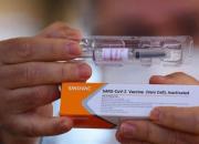 افزایش ظرفیت تولید واکسن سینواک چین