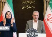 عکس/ جلسه سخنگوی دولت با حضور رابط ناشنوایان