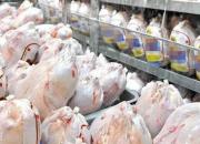 دخالت‌ بخش‌های دولت در تولید مرغ