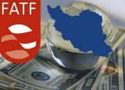 شاکری: FATF باید از دعوای «حیدری نعمتی» خارج شود