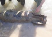 عکس/ کشف بمب جنگی در پلدختر