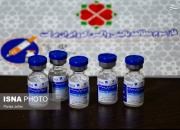 عکس/ آغاز فاز سوم طرح ملی واکسن ایرانی برکت در بوشهر