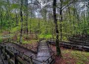 عکس/ طبیعت زیبای پارک جنگلی النگدره