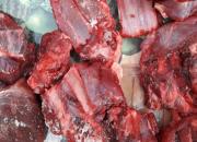 کشف گوشت قوچ وحشی در فرودگاه شیراز 