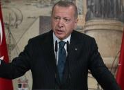 اردوغان: در ناتو کسی برای مبارزه با تروریسم در کنار ما نایستاد