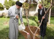 برخی به‌دنبال دست‌اندازی به باغ‌های تهران هستند/ مسئولان مانع از بین رفتن درختان و باغات موجود در شهرها شوند+تصاویر