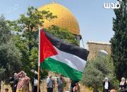 عکس/ برافراشتن پرچم فلسطین در مسجدالاقصی
