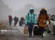 هر هفته ۲۰۰۰ مهاجر اوکراینی وارد سرزمین‌های اشغالی می‌شوند