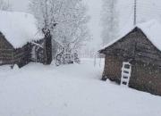 فیلم/ بارش برف در ارتفاعات گیلان