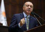 اردوغان: عدم برخورداری ترکیه از سلاح هسته‌ای «غیرقابل قبول» است