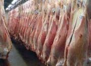 واردات گوشت قرمز با ارز دولتی صفر شد
