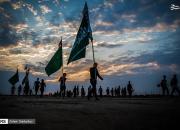 آمار و ارقام حیرت‌انگیز از مراسم پیاده‌روی اربعین حسینی