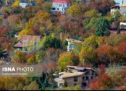 عکس/ پاییز هزار رنگ روستای «افجه»