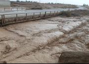 فیلم/ سیلاب وحشتناک در کنگان بوشهر