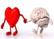 رابطه مستقیم تپش قلب و تصمیم‌گیری مغز