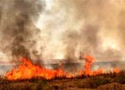 آتش‌سوزی منابع طبیعی در شمال تهران