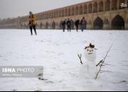 عکس/ اولین بارش برف زمستانی در نصف جهان