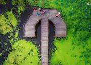 تصویر هوایی از پل چوبی آبکنار در انزلی