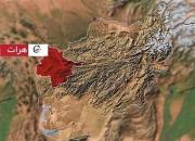 ۶ کشته در درگیری‌های هرات در غرب افغانستان