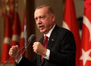 اردوغان: چشم طمع به ثروت‌های لیبی نداریم
