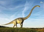 قدیمی ترین گونه یک «دایناسور» کشف شد +عکس