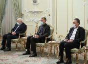 عکس/ حضور امیرعبداللهیان در دیدار وزیر خارجه بوسنی با رئیسی