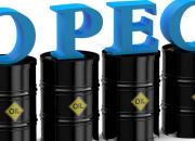 اوپک فعلا قصد کاهش تولید نفت را ندارد