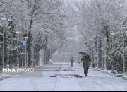 بارش برف و باران و وزش باد شدید در کشور