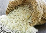 مجوز واردات برنج صادر شد +سند