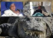 گاندو دوباره حادثه آفرید/ یک کودک اهل دشتیاری در حمله تمساح پوزه کوتاه زخمی شد