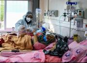 سهم دست های آلوده در انتقال عفونت بیمارستانی