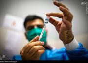 نظر یک کاربر عراقی درباره واکسن ایرانی