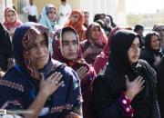 زائران پاکستانی اربعین حسینی امسال رکورد پیش بینی‌ها را شکستند
