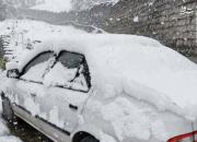 عکس/ بارش برف سنگین از نوع بهاری در بلندی‌های مازندران!